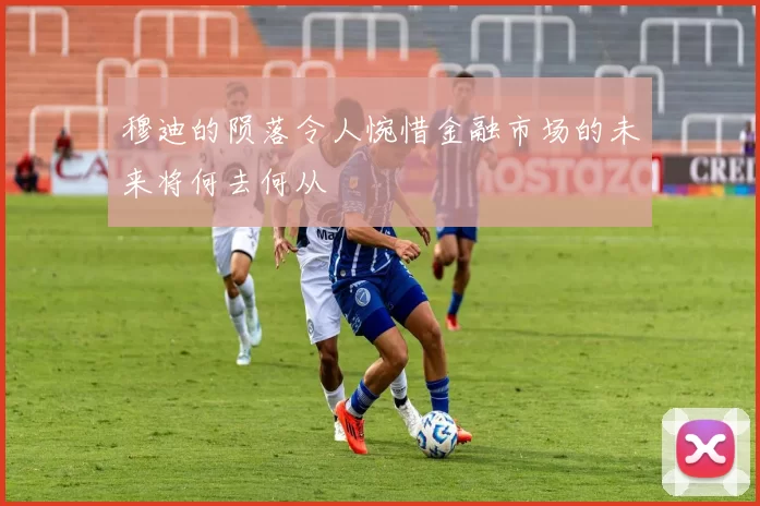 穆迪的陨落令人惋惜金融市场的未来将何去何从